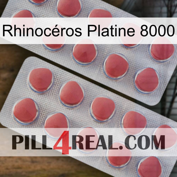 Rhinocéros Platine 8000 19